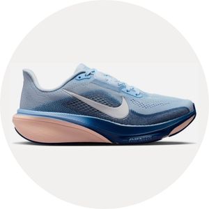Nike Pegasus 42