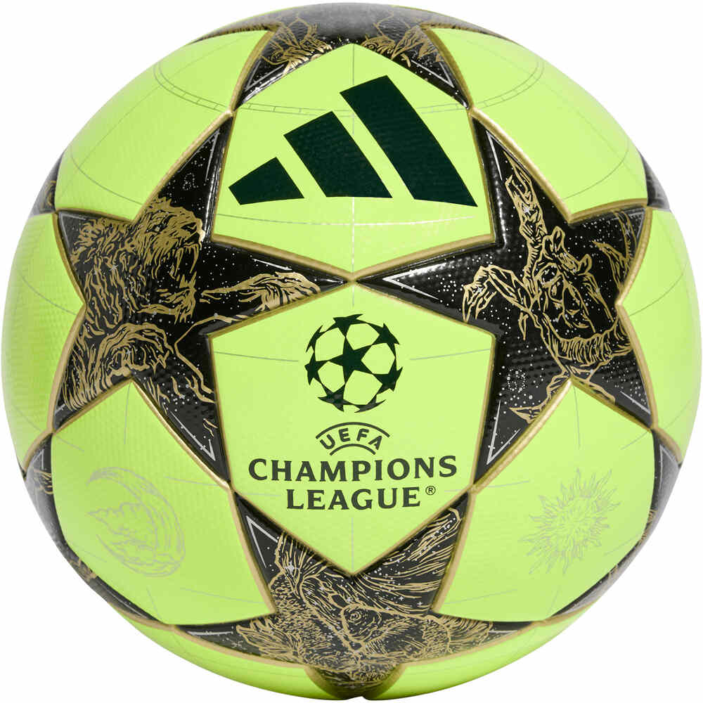 adidas balon fútbol UEFA CHAMPIONS LEAGUE WINTER vista frontal