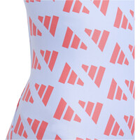 adidas bañador natación niña BRD GFX ST GY vista detalle