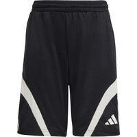 adidas bermuda niño HOUSE OF TIRO 04