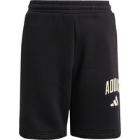 adidas bermuda niño J CLGT FL SHO 03