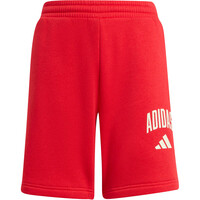 adidas bermuda niño SEASONALS COLLEGIATE 04