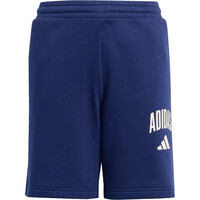 adidas bermuda niño SEASONALS COLLEGIATE 04