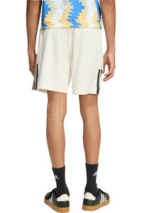 adidas bermudas hombre HOUSE OF TIRO X COMMON GOAL vista trasera