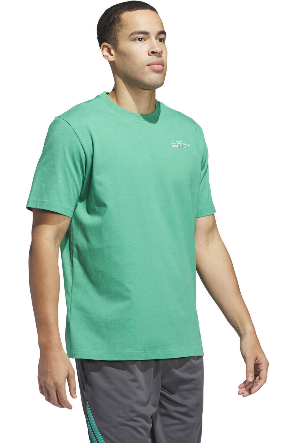 adidas camiseta baloncesto SUM PHOTO T vista detalle