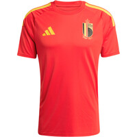 adidas camiseta de fútbol oficiales AFICIONADO BELGICA 26 1 EQUIPACION 04