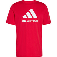 adidas camiseta de fútbol oficiales AJAX SEASONAL GRAPHIC 05