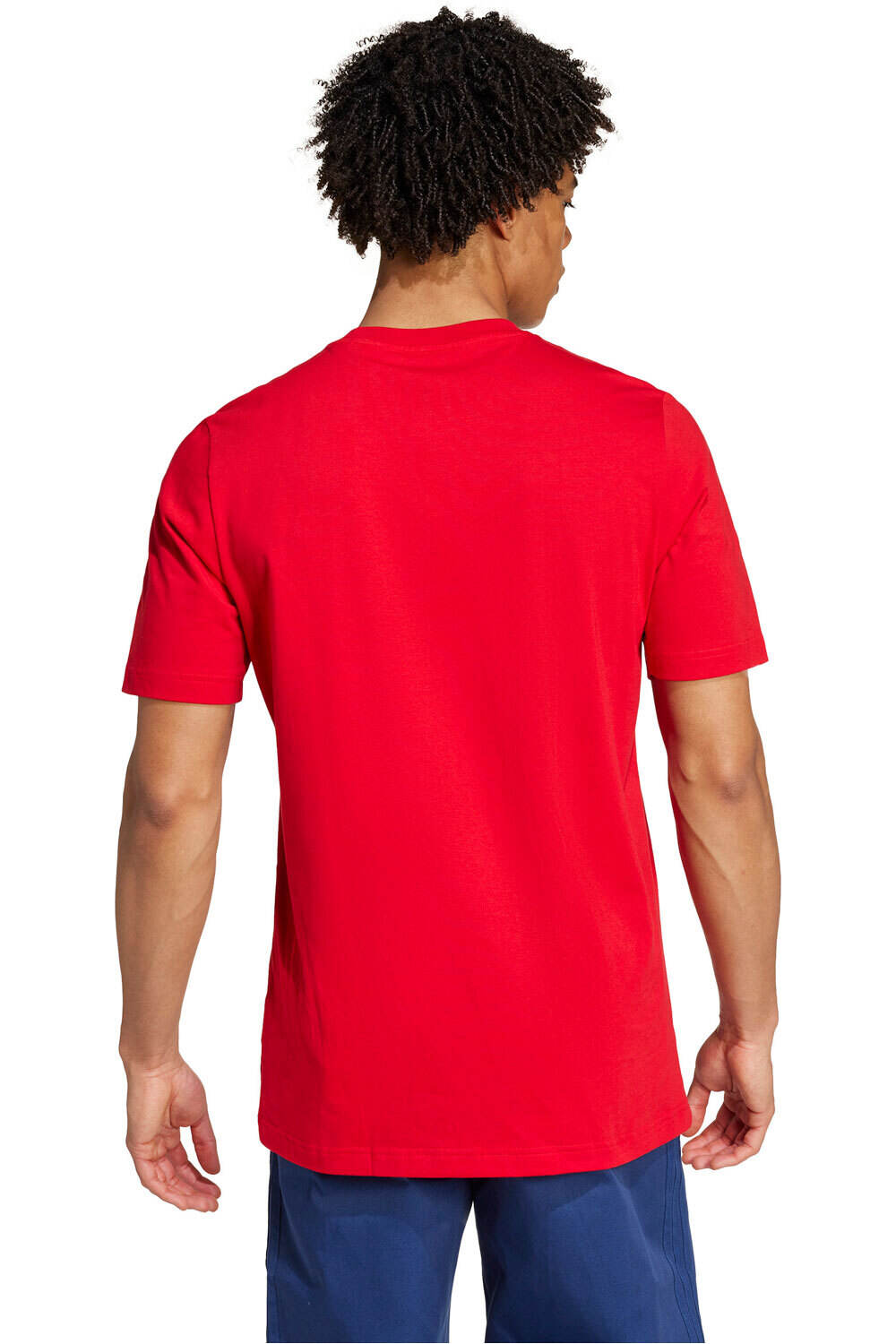 adidas camiseta de fútbol oficiales ARSENAL DNA GRAPHIC vista trasera