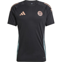 adidas camiseta de fútbol oficiales B.MUNICH 25 TR JSY 05
