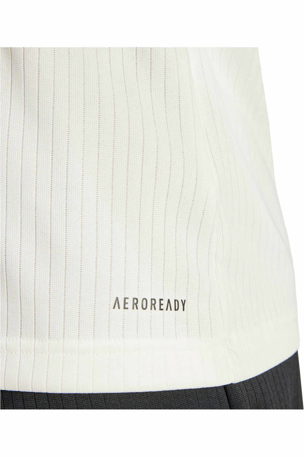 adidas camiseta de fútbol oficiales DFB 125 JSY W 04