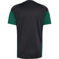 adidas camiseta de fútbol oficiales ENTRENAMIENTO MXICO 26 TIRO 05