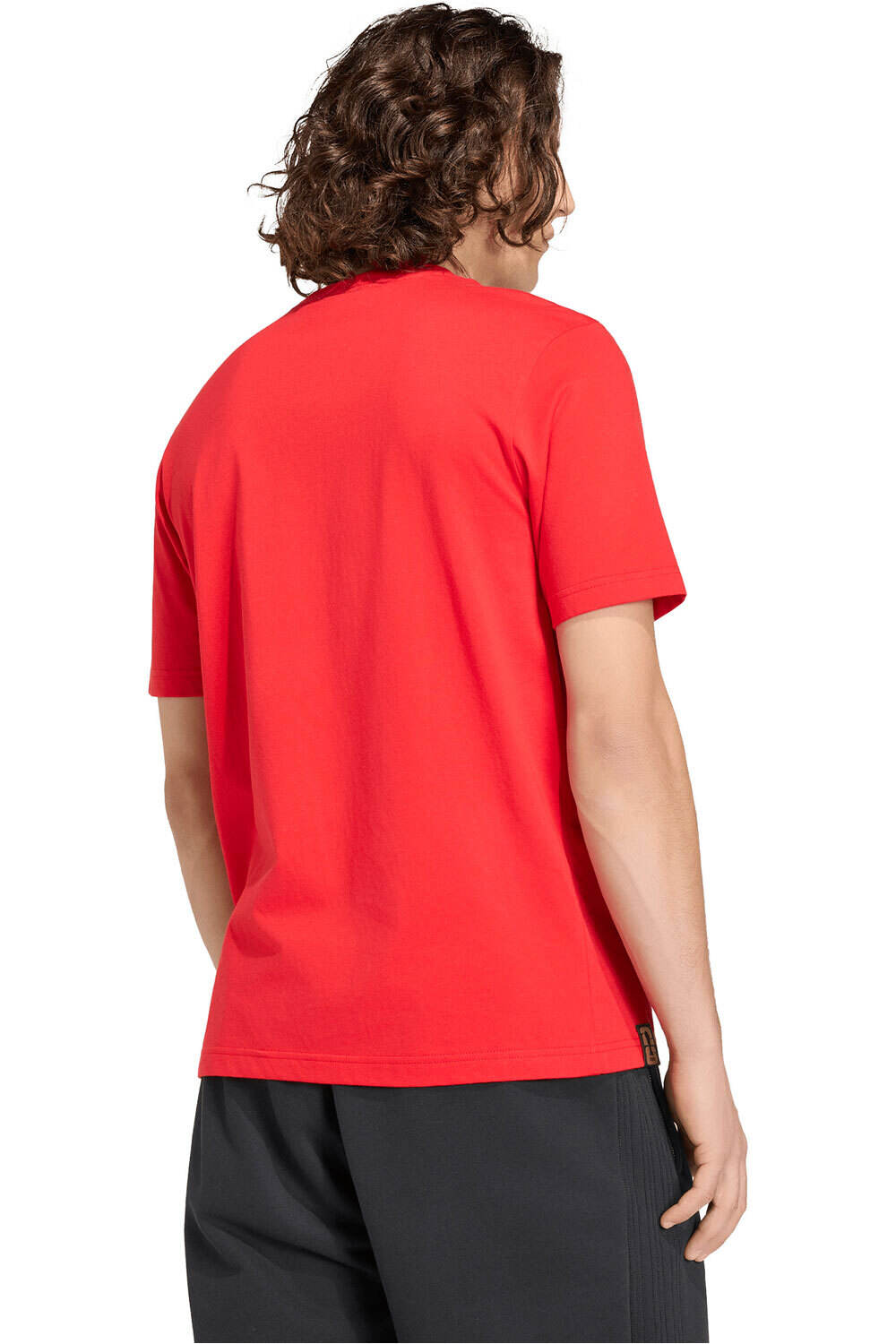 adidas camiseta de fútbol oficiales ESPAA LA COPA MUNDIAL LA FIFA 26 vista trasera