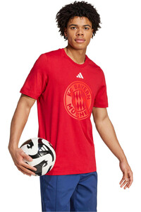 adidas camiseta de fútbol oficiales FC BAYERN MUNICH DNA GR vista detalle