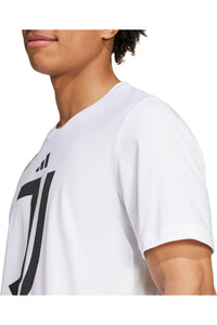 adidas camiseta de fútbol oficiales JUVENTUS DNA GRAPHIC 04