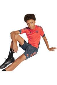 adidas camiseta de fútbol oficiales niño B.MUNICH 26 TR JSY Y vista detalle