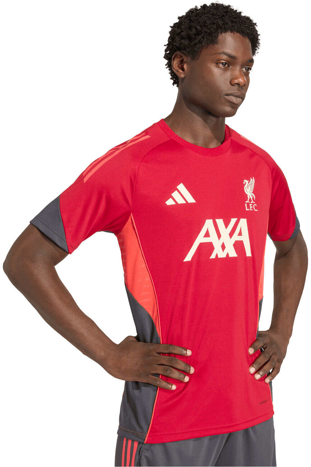 adidas camiseta de fútbol oficiales TRAINING LIVERPOOL FC TIRO 25 COMPET vista detalle