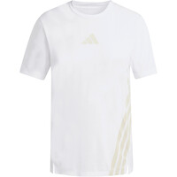 adidas camiseta entrenamiento manga corta mujer TERREX XPERIOR CLIMACOOL+ 04