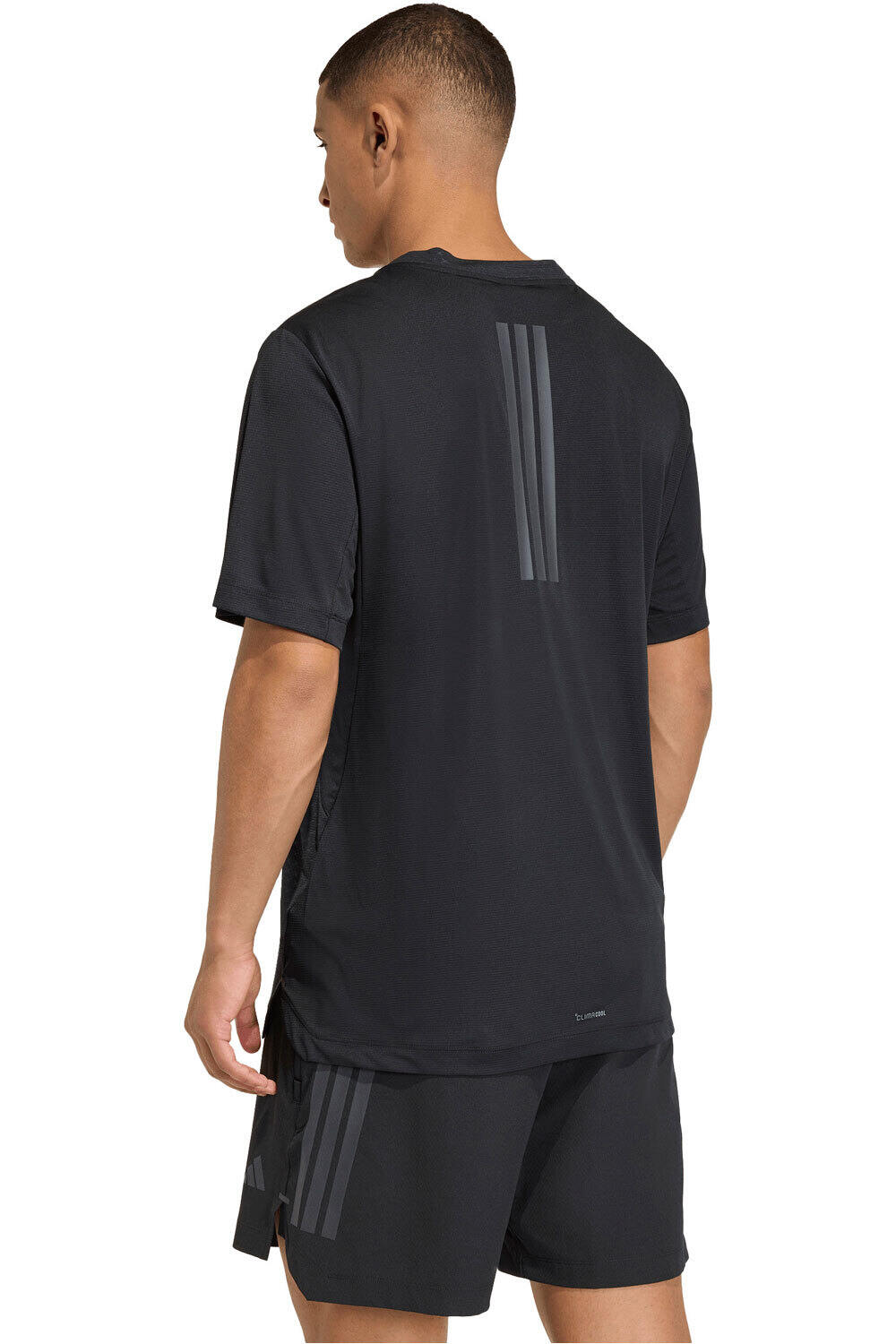 adidas camiseta fitness hombre D4T POWER TEE vista trasera