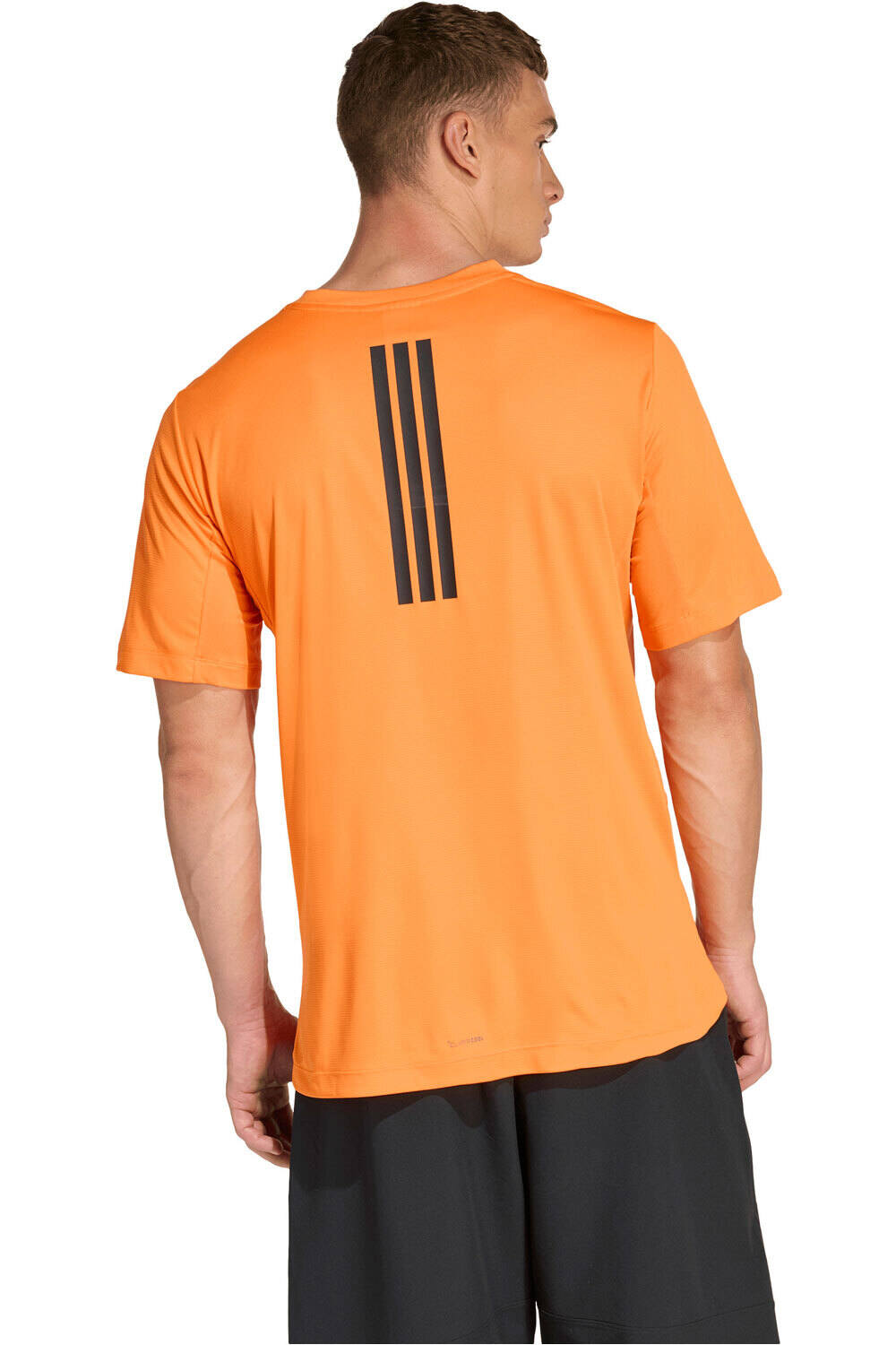 adidas camiseta fitness hombre D4T PRIMELIFT 3 STRIPES vista trasera