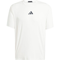 adidas camiseta fitness hombre DESIGNED-FOR-TRAINING INTENSITY 04