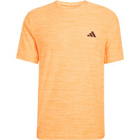 ENTRENAMIENTO ESSENTIALS FLEX