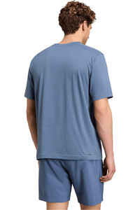 adidas camiseta fitness hombre WE FR T vista trasera