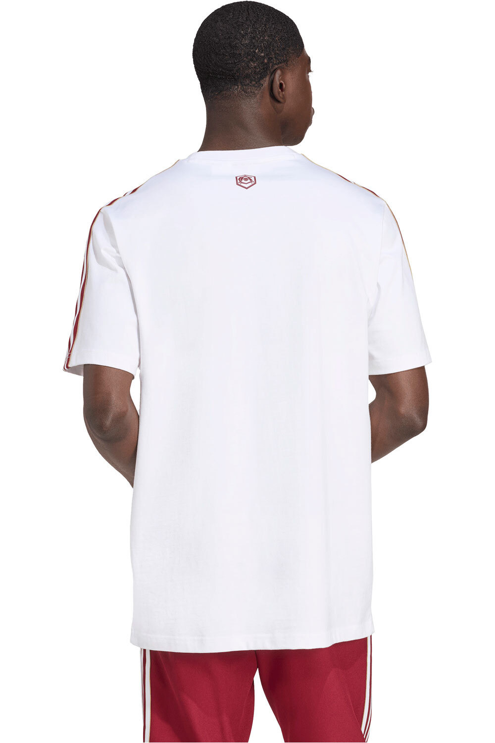 adidas camiseta manga corta hombre AFC ICON TEE vista trasera