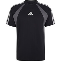 Camiseta Seasonal Ess bloques color