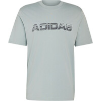 adidas camiseta manga corta hombre DISTRESSED LINEAR 04