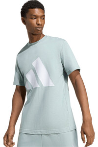 adidas camiseta manga corta hombre ESSENTIALS BIG LOGO vista detalle