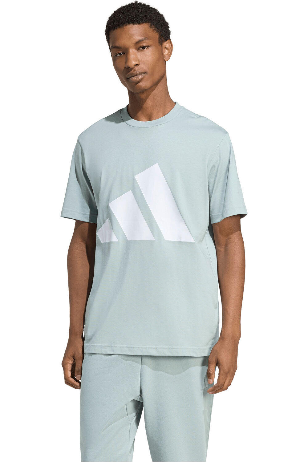 adidas camiseta manga corta hombre ESSENTIALS BIG LOGO vista frontal