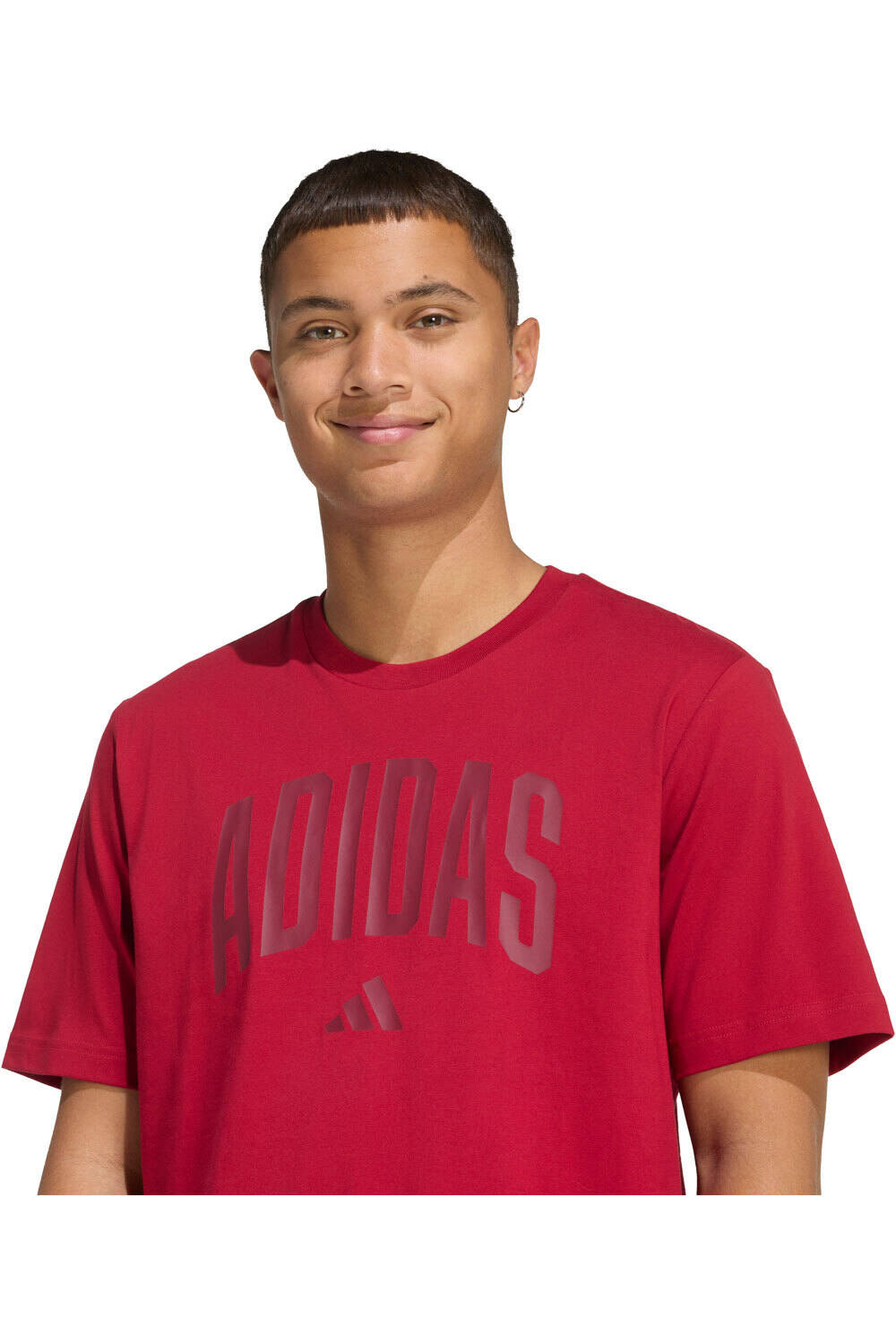 adidas camiseta manga corta hombre ESTAMPADA COLLEGIATE LINEAGE vista detalle