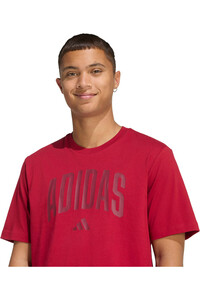 adidas camiseta manga corta hombre ESTAMPADA COLLEGIATE LINEAGE vista detalle