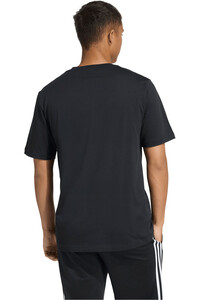 adidas camiseta manga corta hombre ESTAMPADA COLLEGIATE LINEAGE vista trasera