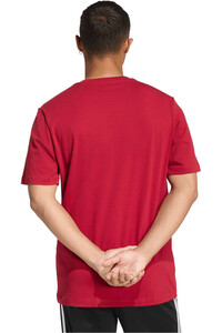 adidas camiseta manga corta hombre ESTAMPADA COLLEGIATE LINEAGE vista trasera
