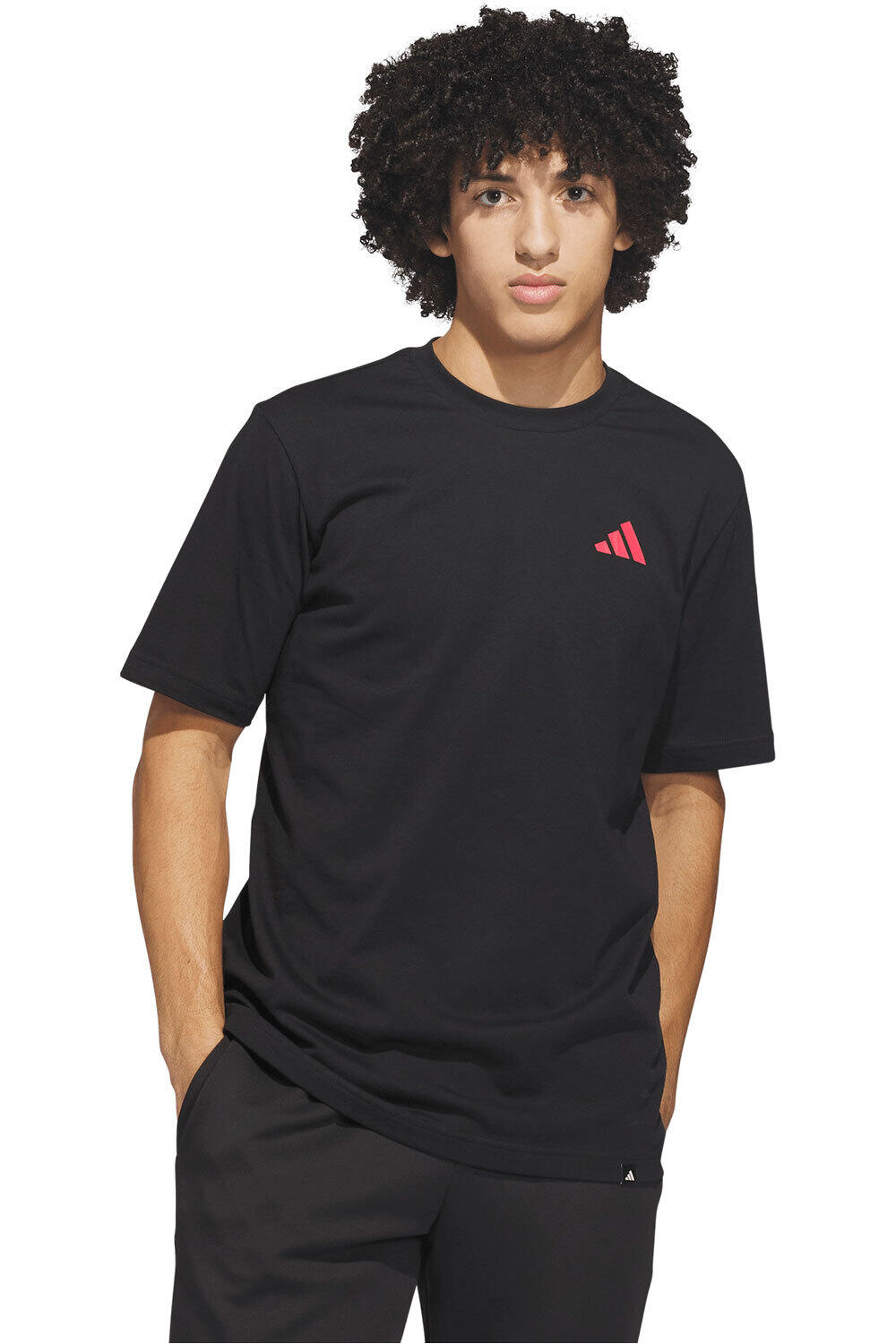 adidas camiseta manga corta hombre ESTAMPADA EVERYDAY GETAWAY vista frontal