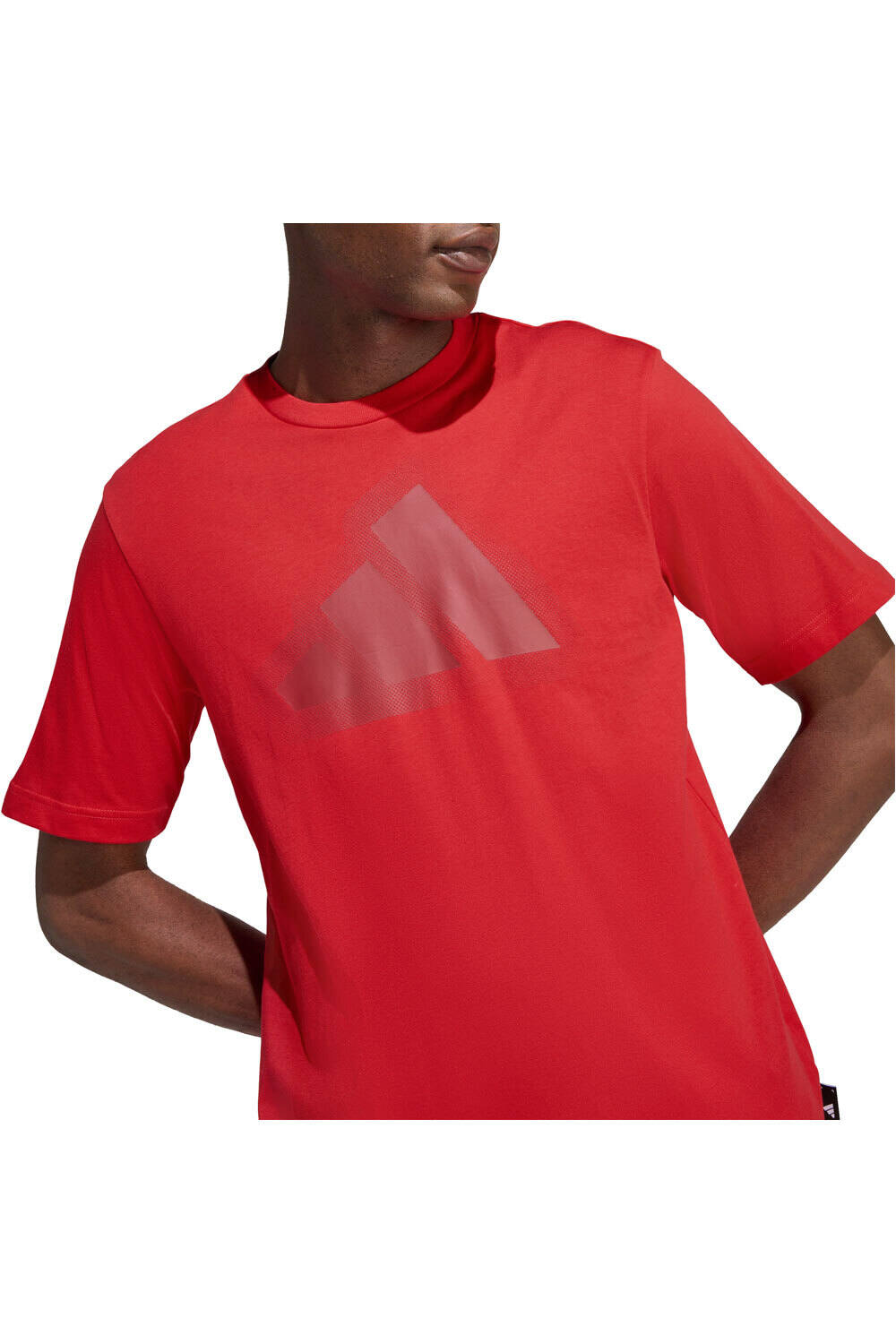 adidas camiseta manga corta hombre ESTAMPADA MODERN ESSENTIALS vista detalle