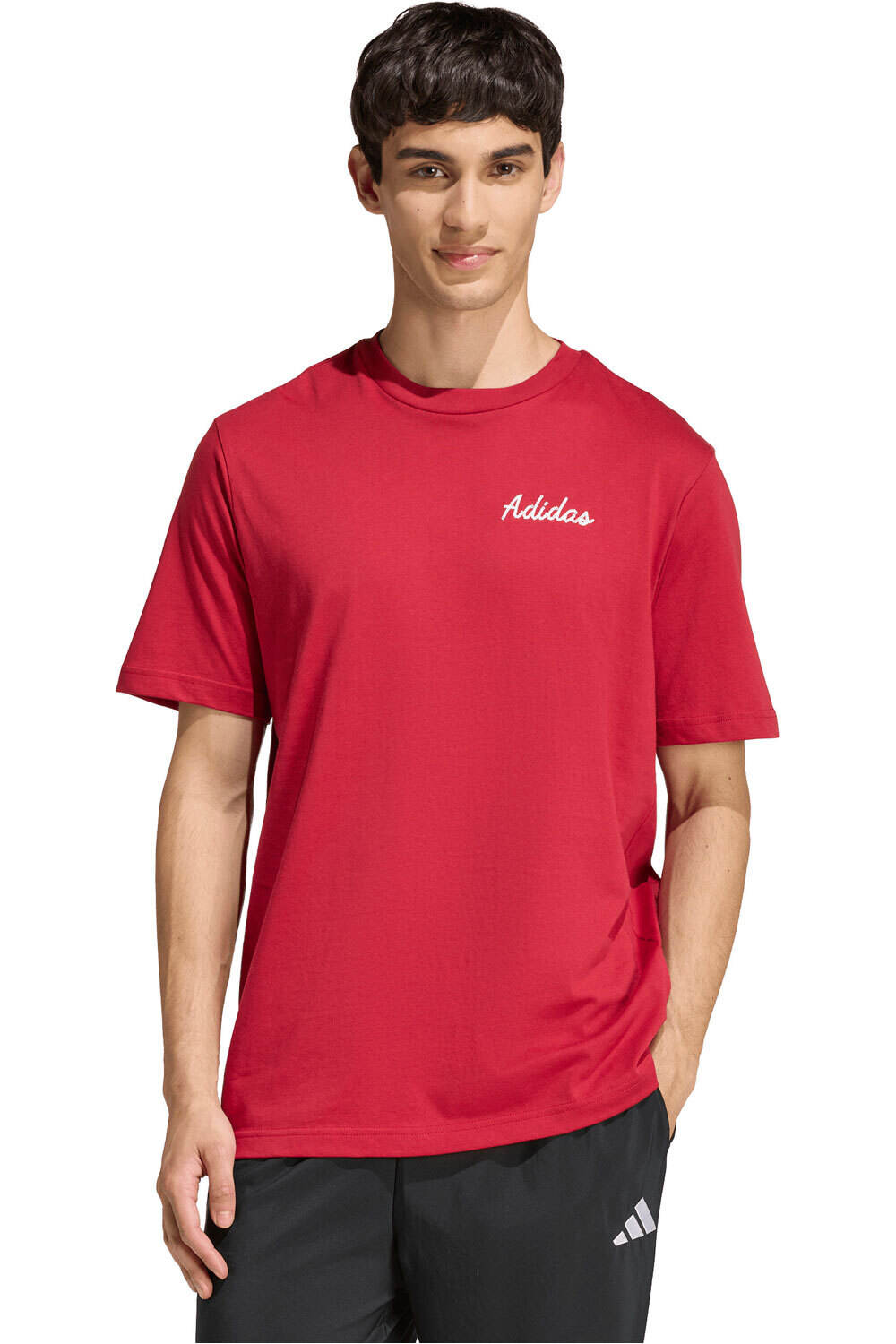 adidas camiseta manga corta hombre ESTAMPADA NOVELTY BOWL vista frontal