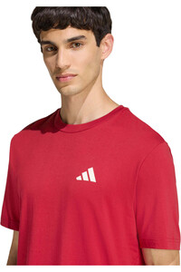 adidas camiseta manga corta hombre GRAFICO CICLISMO MONTANA AIRE LIBRE vista detalle