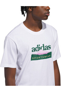 adidas camiseta manga corta hombre GRFICA SPORTSMAN MOUNTAIN vista detalle