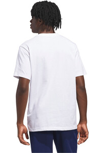 adidas camiseta manga corta hombre GRFICA SPORTSMAN MOUNTAIN vista trasera