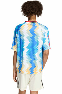 adidas camiseta manga corta hombre HOUSE OF TIRO X COMMON GOAL vista trasera