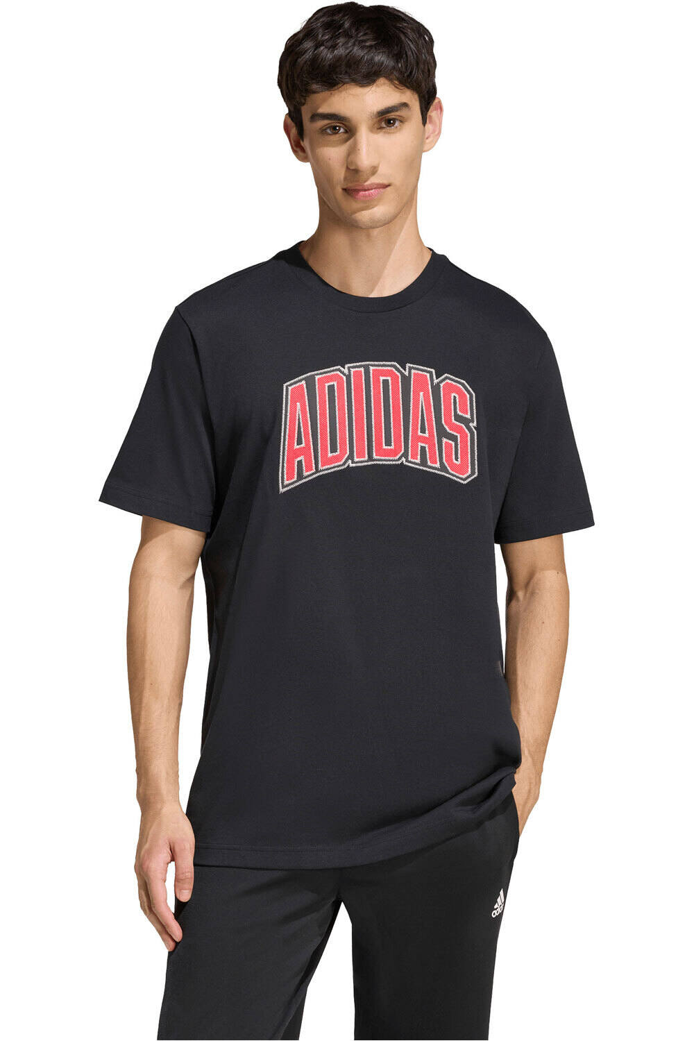 adidas camiseta manga corta hombre INSPIRACIN UNIVERSITARIA STADIUM vista frontal