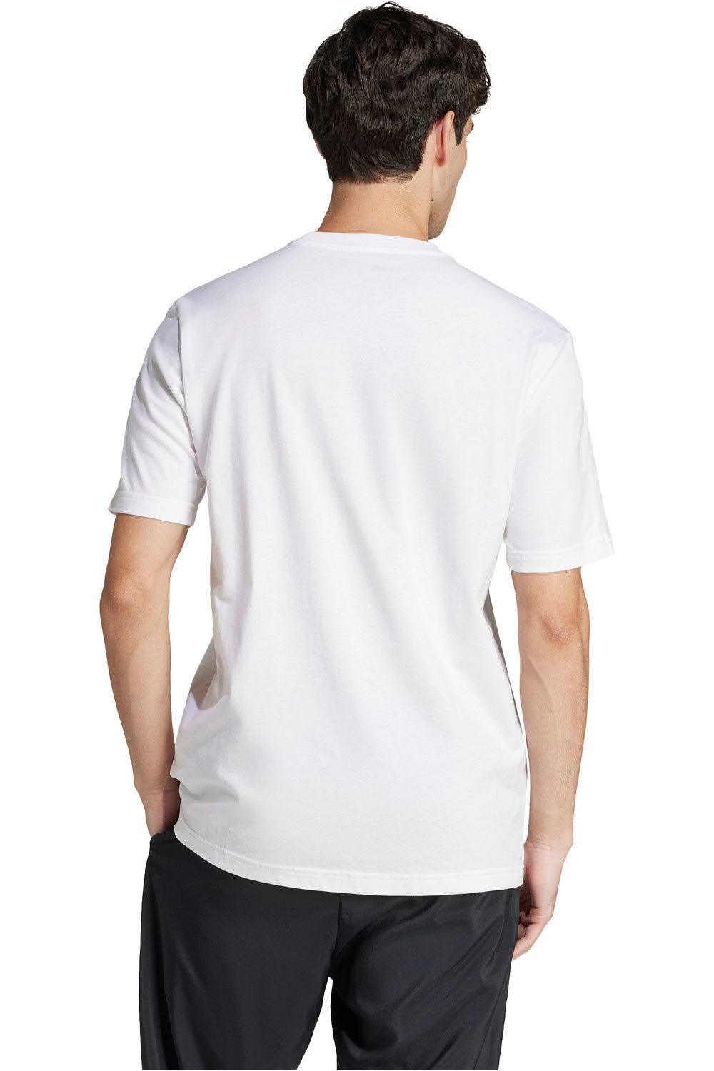 adidas camiseta manga corta hombre M C CAMO LOGO T vista trasera