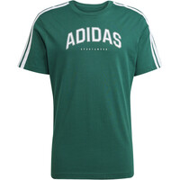 adidas camiseta manga corta hombre M C COLLEG TEE 04