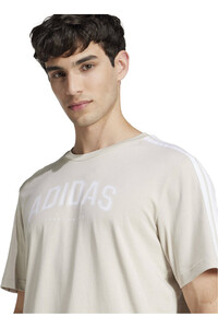 adidas camiseta manga corta hombre M C COLLEG TEE 04