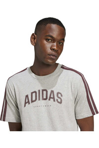 adidas camiseta manga corta hombre M C COLLEG TEE 04