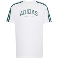adidas camiseta manga corta hombre M C COLLEG TEE 05
