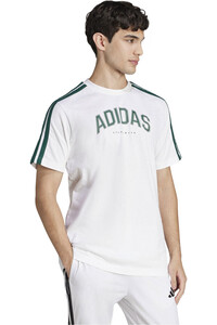 adidas camiseta manga corta hombre M C COLLEG TEE vista detalle