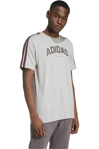 adidas camiseta manga corta hombre M C COLLEG TEE vista detalle
